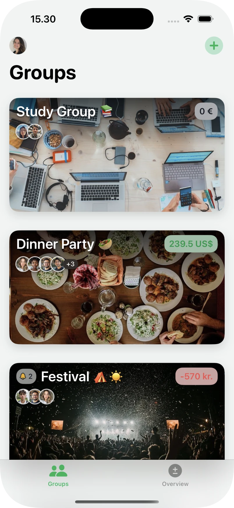 Divvy app showing group expense management